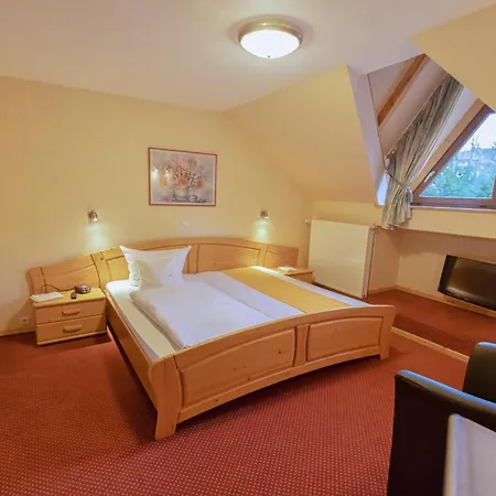 Hotel Sauerländer Hof-2